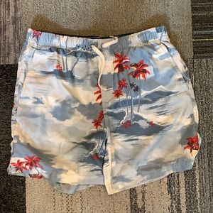 Rusty Board Shorts